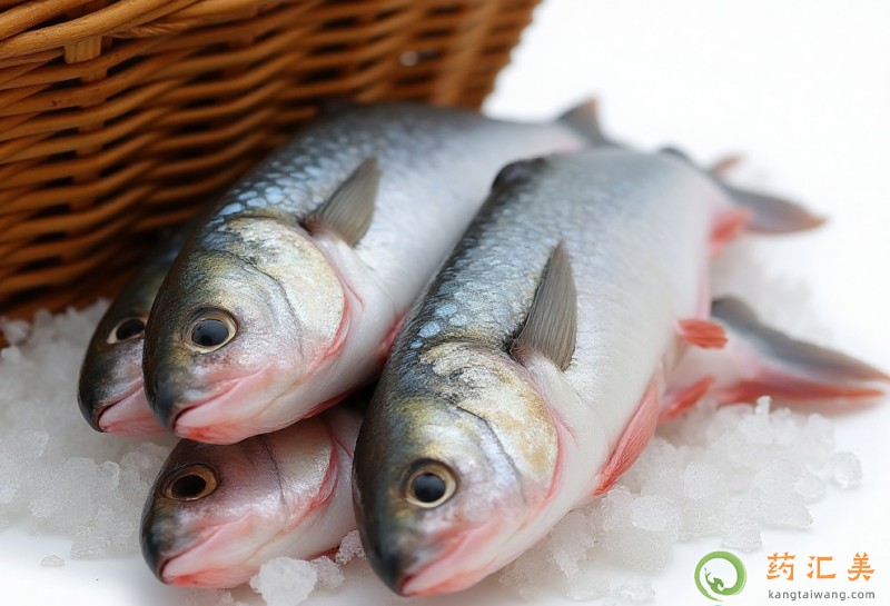 胰腺炎恢復期可以吃鯔魚嗎 胰腺炎恢復期可以吃鯔魚嗎