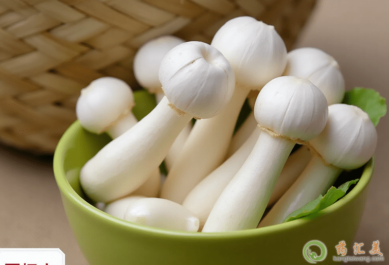 失眠可以吃雞腿菇 失眠可以吃雞腿菇