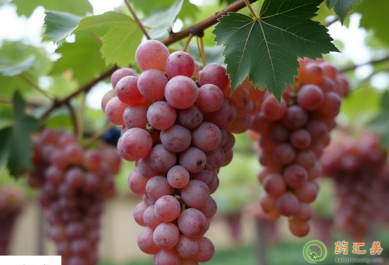 失眠可以吃葡萄嗎 失眠可以吃葡萄嗎