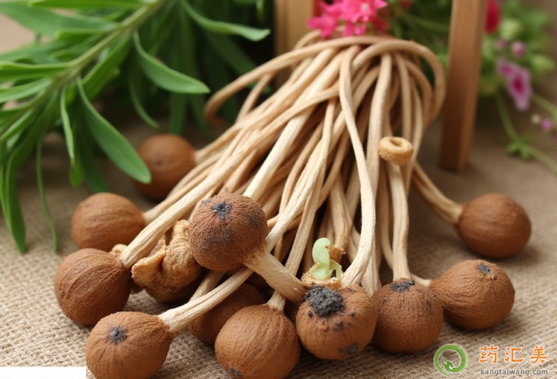 胰腺炎能吃茶樹(shù)菇嗎 胰腺炎能吃茶樹(shù)菇嗎