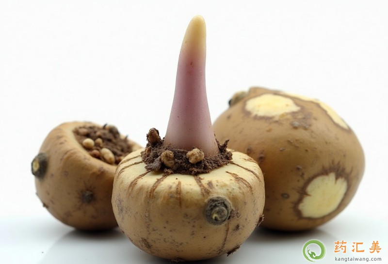 胰腺炎能吃魔芋嗎 胰腺炎能吃魔芋嗎