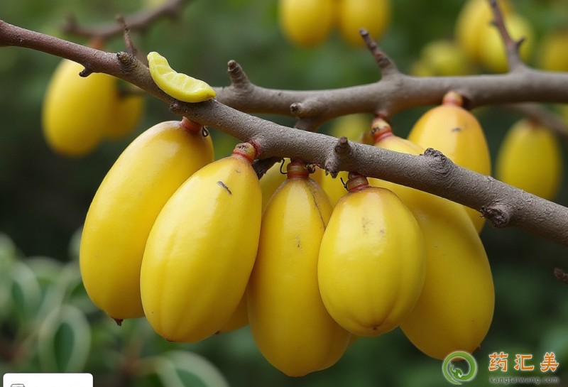 胰腺炎能吃楊桃嗎 胰腺炎能吃楊桃嗎