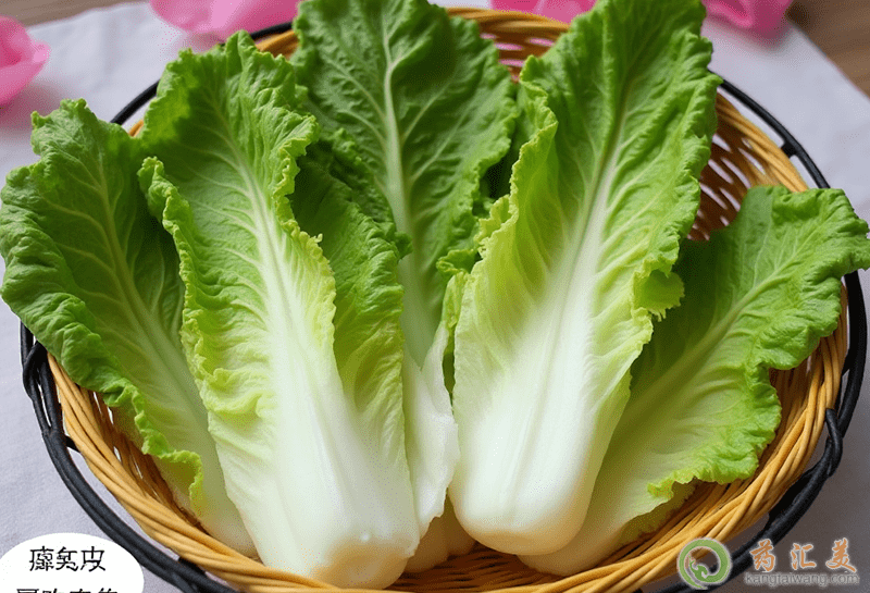 生菜的營養(yǎng)價(jià)值 生菜的營養(yǎng)價(jià)值