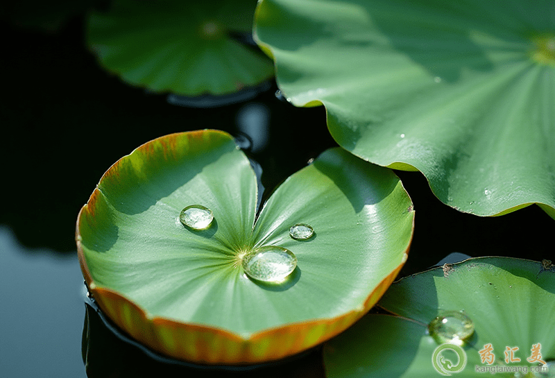 ~ĠI(yng)B(yng)r(ji)ֵ