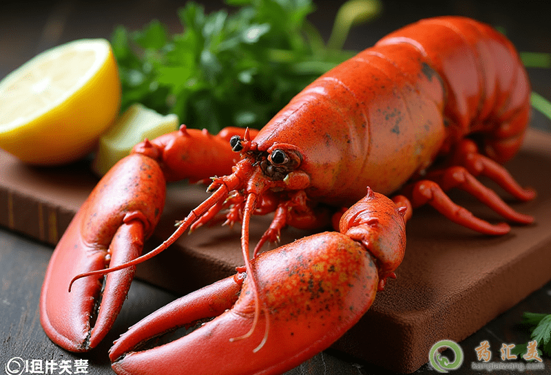 龍蝦的營養(yǎng)價值 龍蝦的營養(yǎng)價值