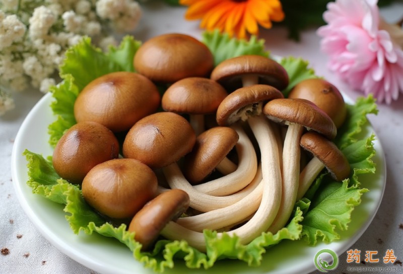 失眠能吃茶樹菇嗎 失眠能吃茶樹菇嗎