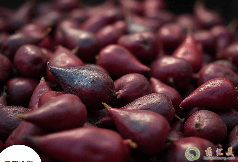 紅菱角的功效與作用 紅菱角的功效與作用